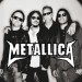 Metallica 4.JPG